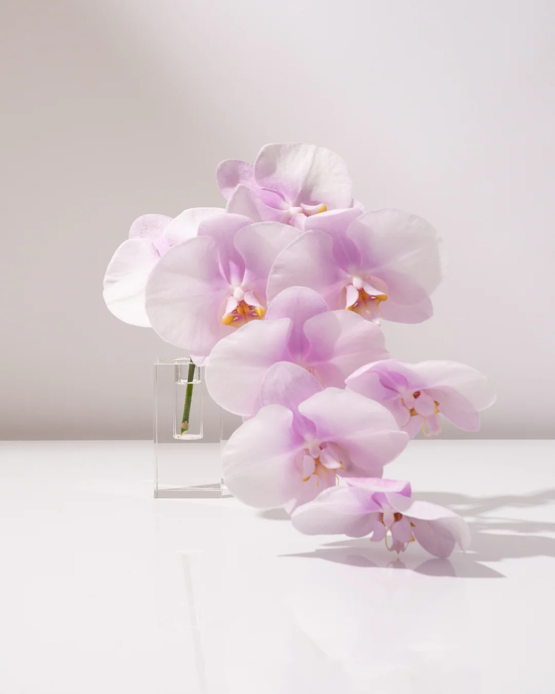 Rectangle | Crystal Glass Candle Holder - Image 3